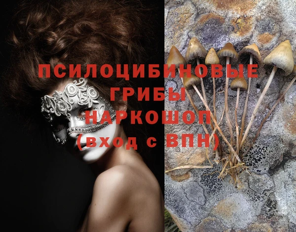 гашиш Магас