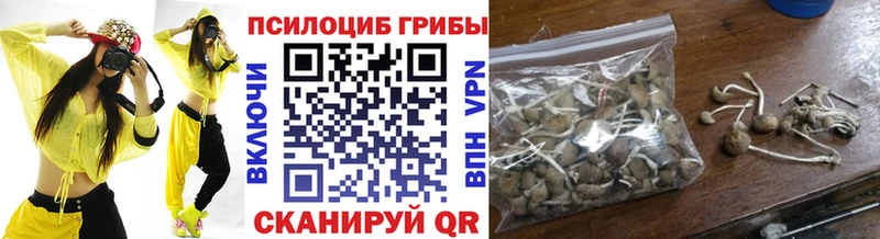 Псилоцибиновые грибы Cubensis  Нытва 
